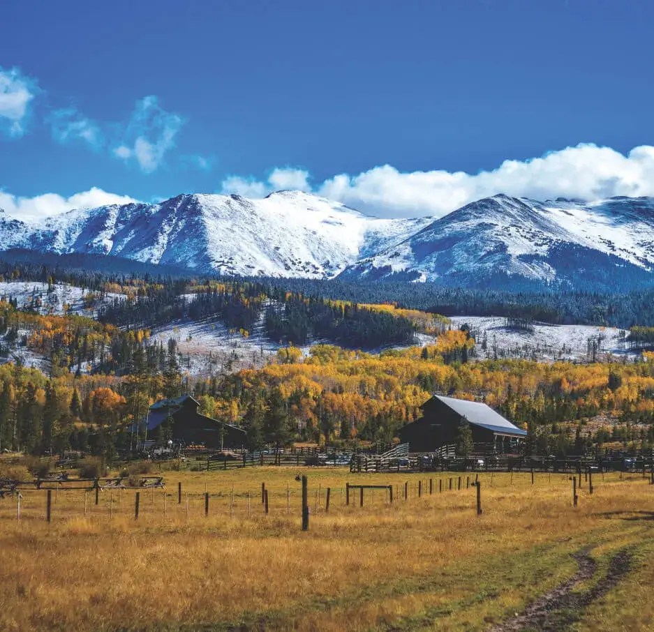 Real Estate of Winter Park Find Homes for Sale in Winter Park